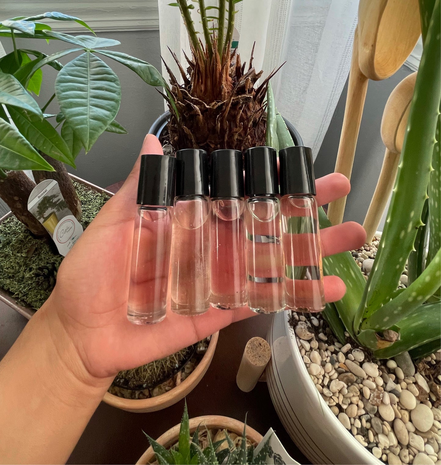 A female model holds Sweet Tart, Luscious Lady, Secret Sauce, Suga Sweet and an additional mystery perfume in the palm of her hand