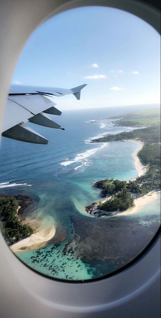 Twins, Fresh Fish and The Travel Bug