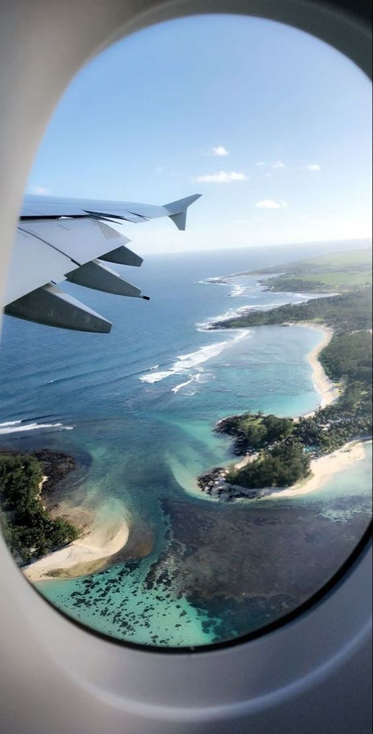 Twins, Fresh Fish and The Travel Bug
