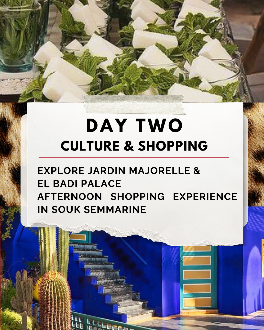 6.25 SISTERHOOD IN THE SAHARA Retreat Deposit