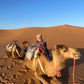 Desert Add-On