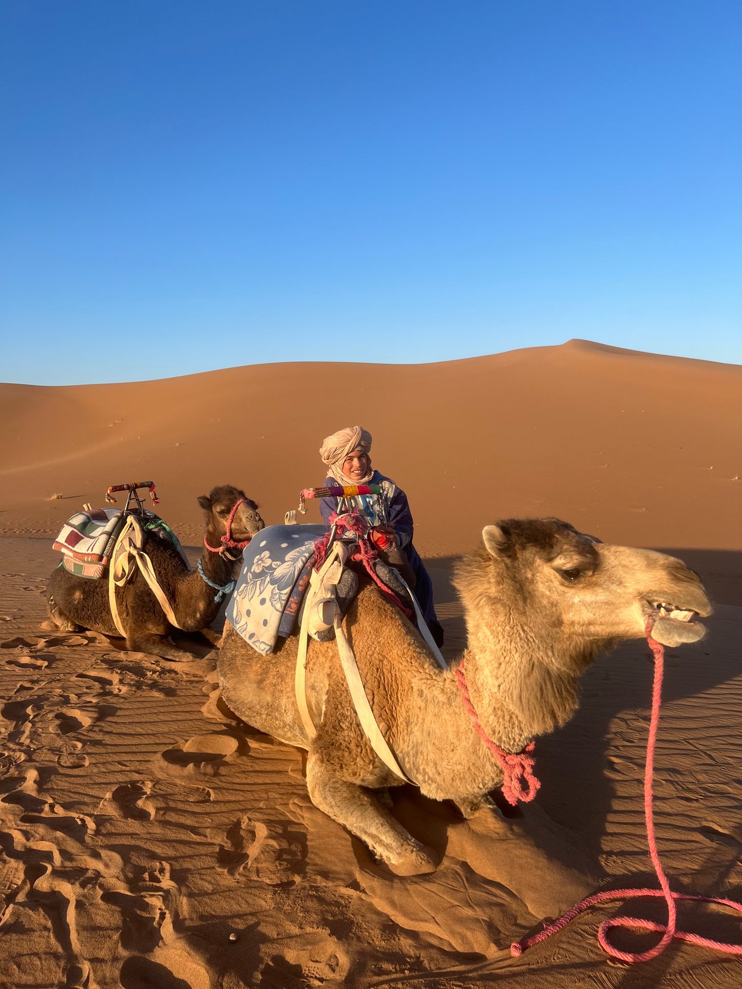 Desert Add-On